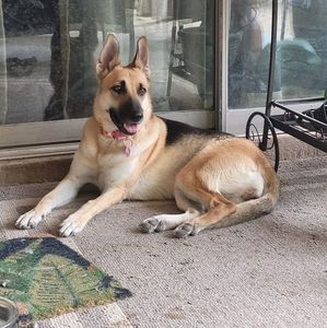 Meet your Posher, Richard